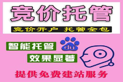sem托管服务案例：如何实现广告投放精准投放